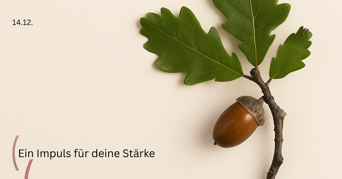 ein Eichelzweig mit Eichel