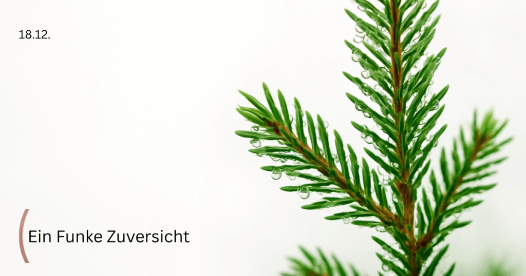 Tannenzweig auf hellem Untergrund