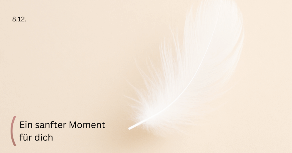 Feder, in sanfter Lichtstimmung beruhigend, linke Seite leer