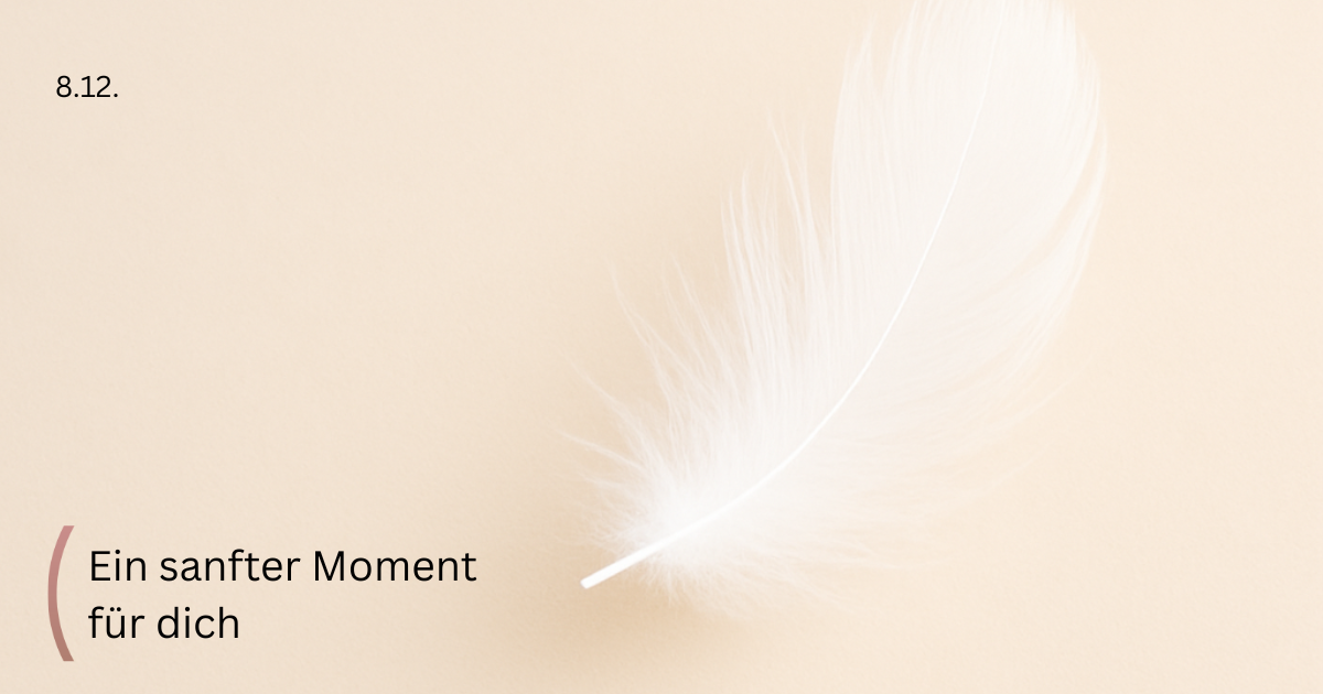 Feder, in sanfter Lichtstimmung beruhigend, linke Seite leer