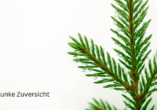 Grüner Tannenzweig im Schnee als Symbol für Widerstandskraft beim Verlustangst überwinden und gegen innere Unruhe.